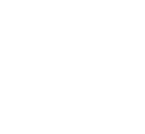 LOGO-LA-F-EXPRES-BLANCO---TRANSPARENT